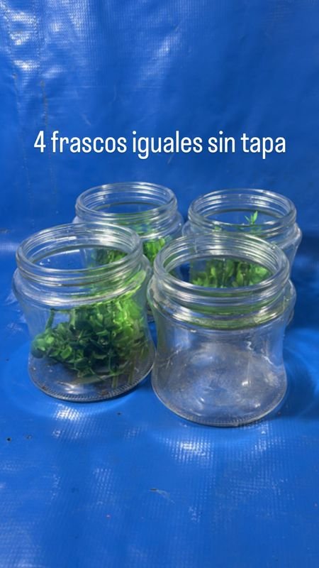 Item 842750 - Image 0