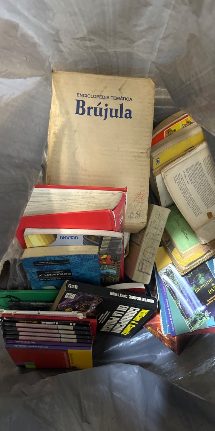 Lote de Libros Variados