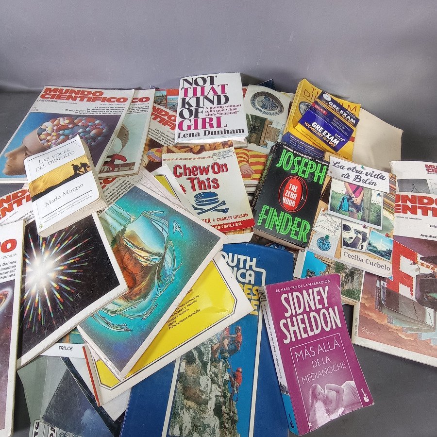 Lote de Libros y Revistas Variadas