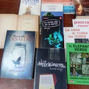 Lote de 16 Libros: Narrativa, Poesía, Teatro y Más - imagen 9