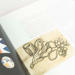 Libro "Picasso: La Pasión del Dibujo" - imagen 2