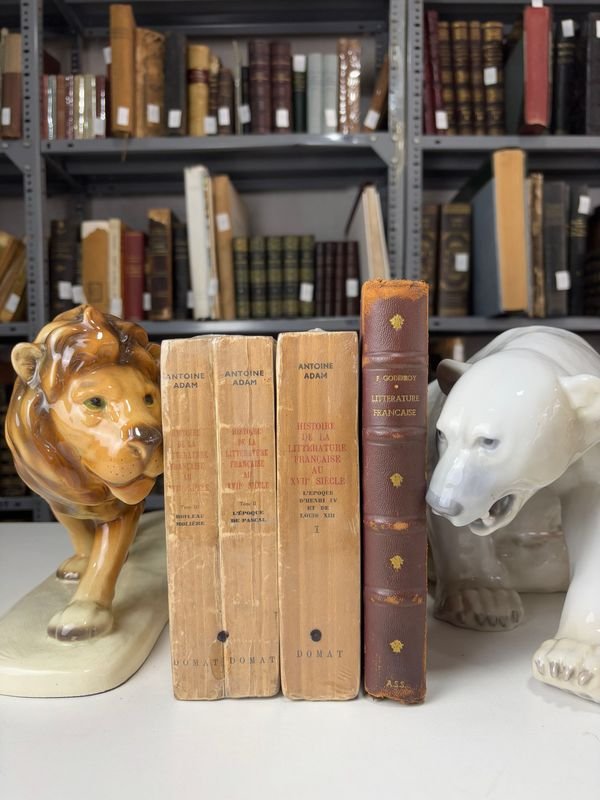 Libros y Figuritas Cerámicas en Buen Estado - imagen 4