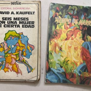 Lote siguiente: Libro "Tiempo de Narrar" y "Seis Meses con una Mujer de Cierta Edad" de David A. Kaufert