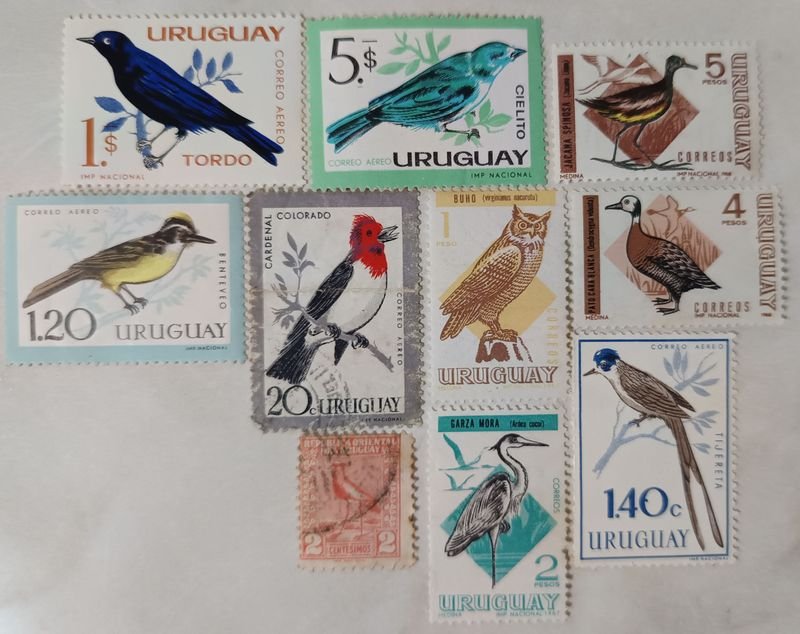 Item 864781 - Image 0