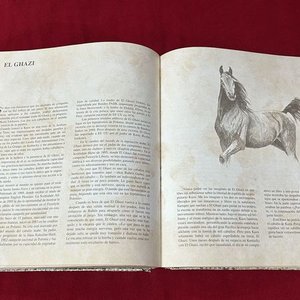 Libro "Reflexiones Caballo Andaluz" con Ilustraciones - imagen 2