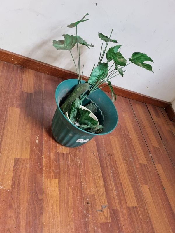 Item 854610 - Image 2