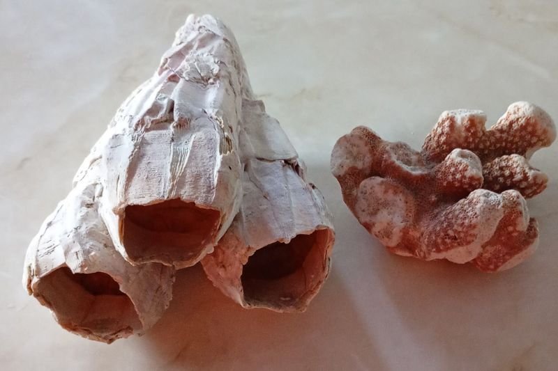 Item 852257 - Image 0