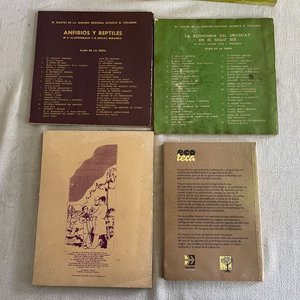 Lote de Libros: Manualidades, Agronomía, Plantas Medicinales y Recursos Minerales - imagen 4
