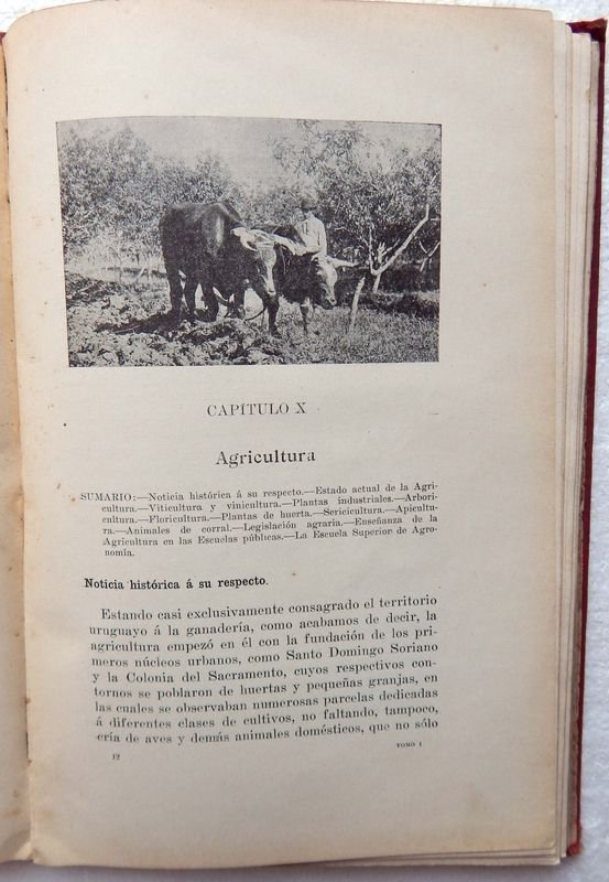 Item 853821 - Image 4