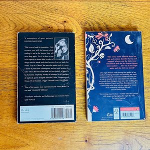 Libros: "The Wrench" de Primo Levi y "The Magic Toyshop" de Angela Carter - imagen 2