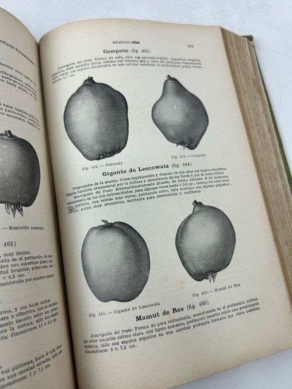 Cuatro libros de agricultura y aves en español - imagen 5