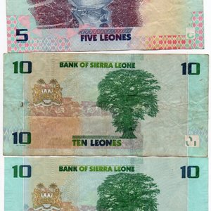 Lote de 3 Billetes de Sierra Leona: 5 y 10 Leones (2022) - imagen 3