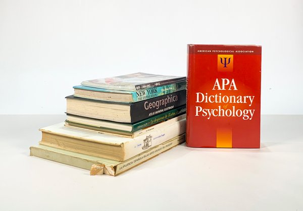 Lote siguiente: Colección de libros antiguos y usados
