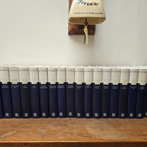 Lote anterior: La Enciclopedia Salvat Completa en 20 Tomos