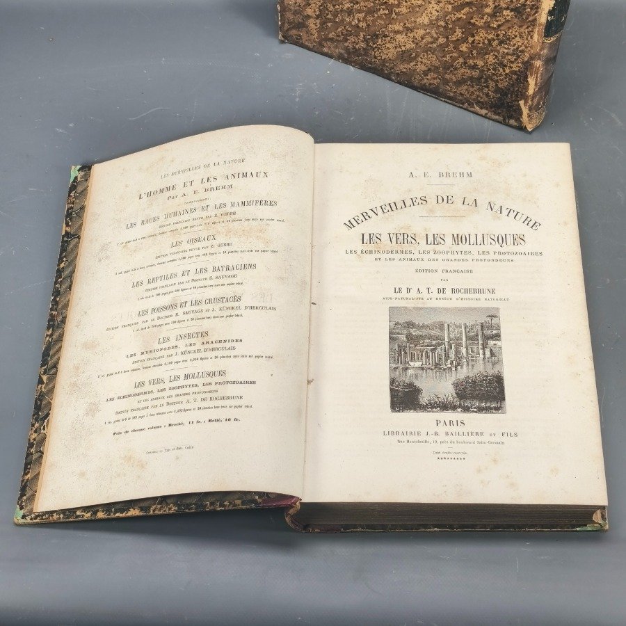 Libro antiguo de historia natural con encuadernación en cuero - imagen 7