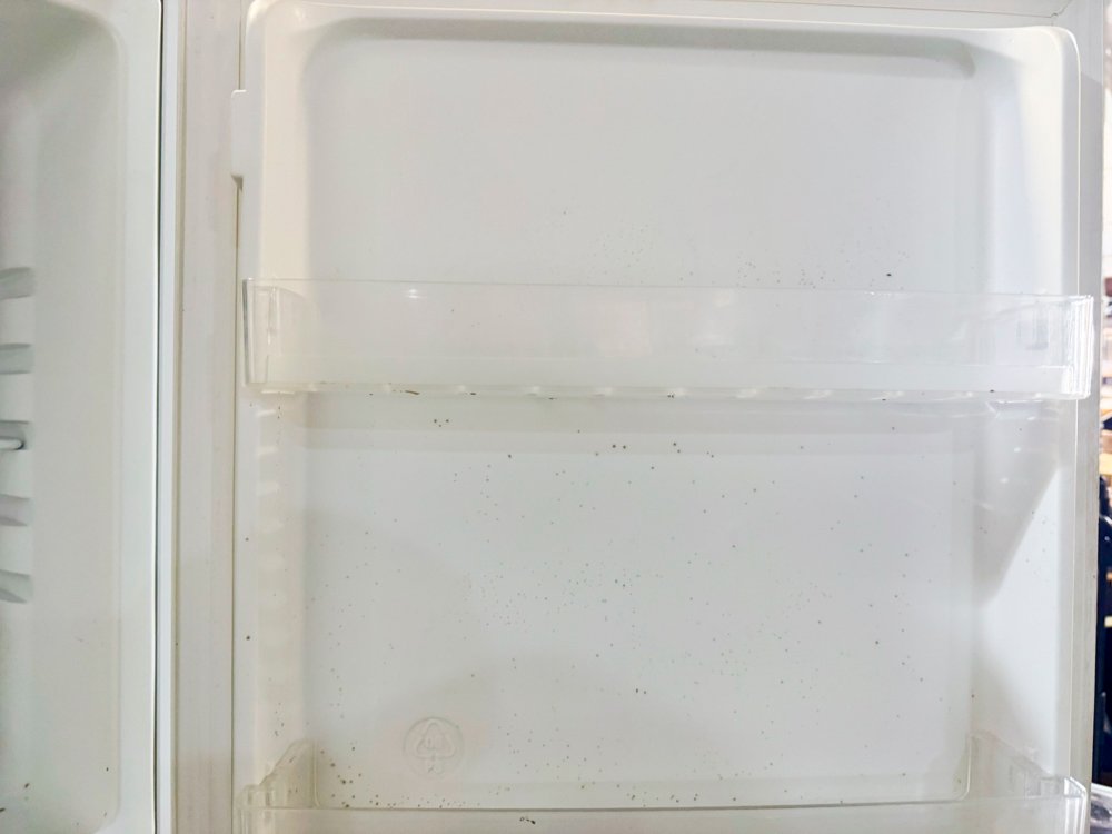 Item 491209 - Image 2