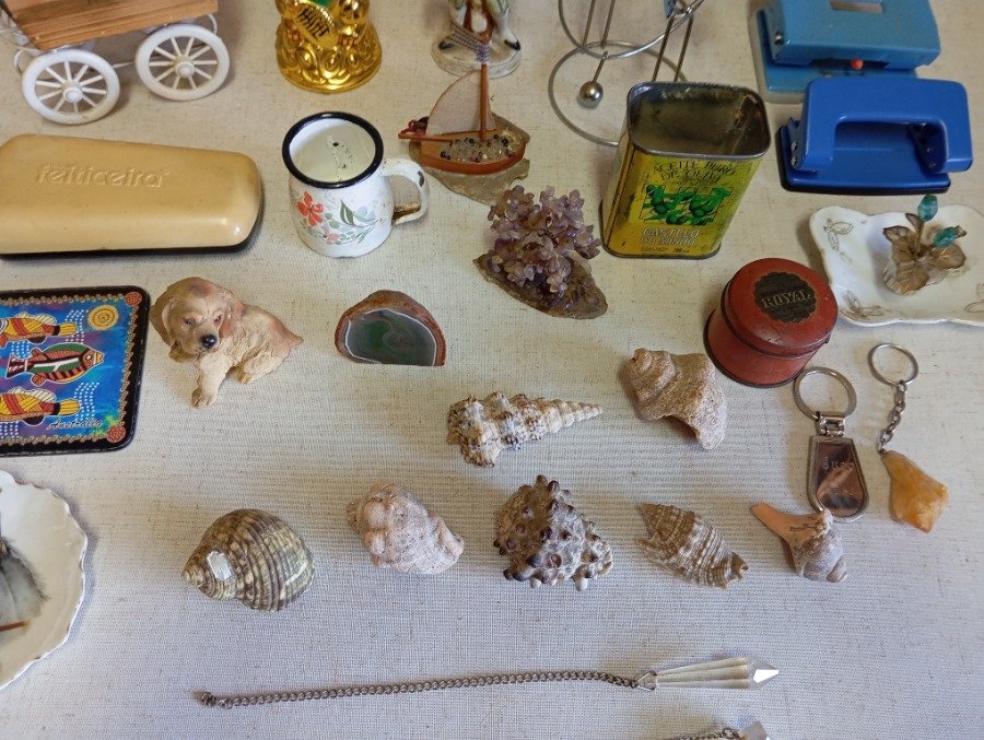 Colección de caracoles y objetos variados - imagen 4