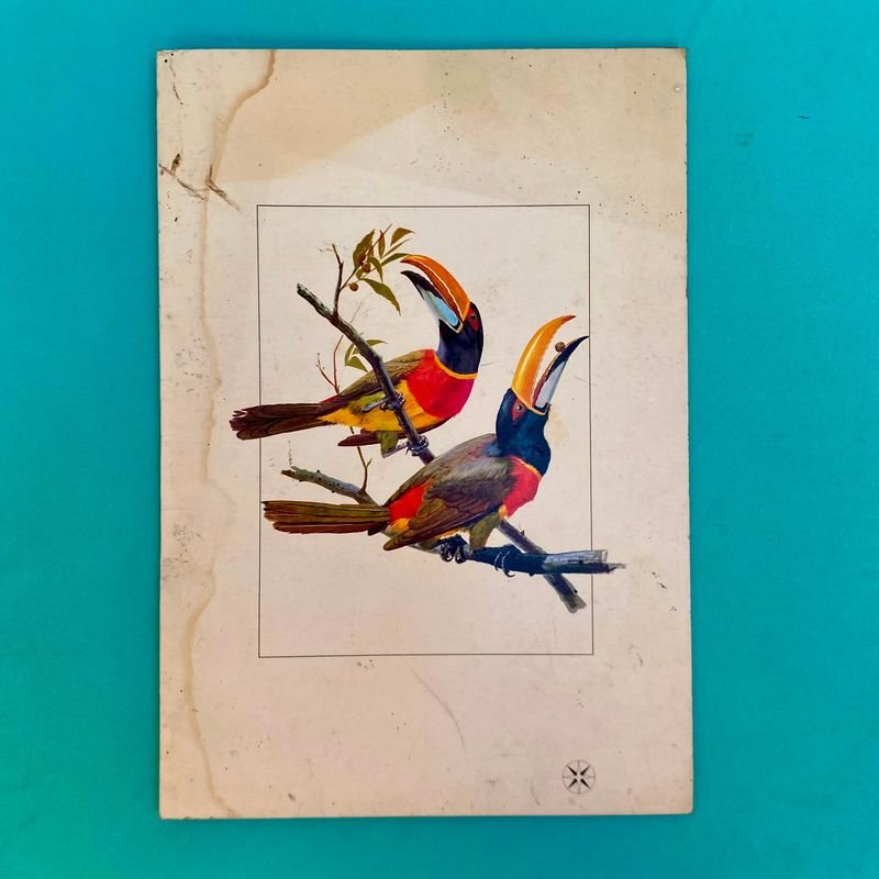 Antiguo Menú a la Carta Varig Francés con Tucanes