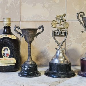 Lote de Trofeos Varios y Adornos Metálicos y Cerámicos - imagen 1