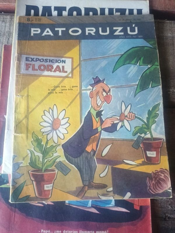 Paturuzu de los años 60 en venta - imagen 2