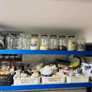 Multilote de Especias, Bolsas de Residuos y Recipientes de Vidrio - imagen 1