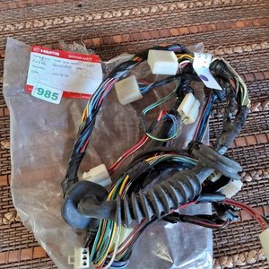 Arnés de cables puerta delantera izquierda Haima - imagen 3