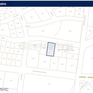 Plano Catastral de Maldonado, Punta del Este - imagen 1