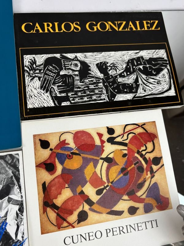 Colección de libros y catálogos de arte uruguayo y contemporáneo - imagen 6