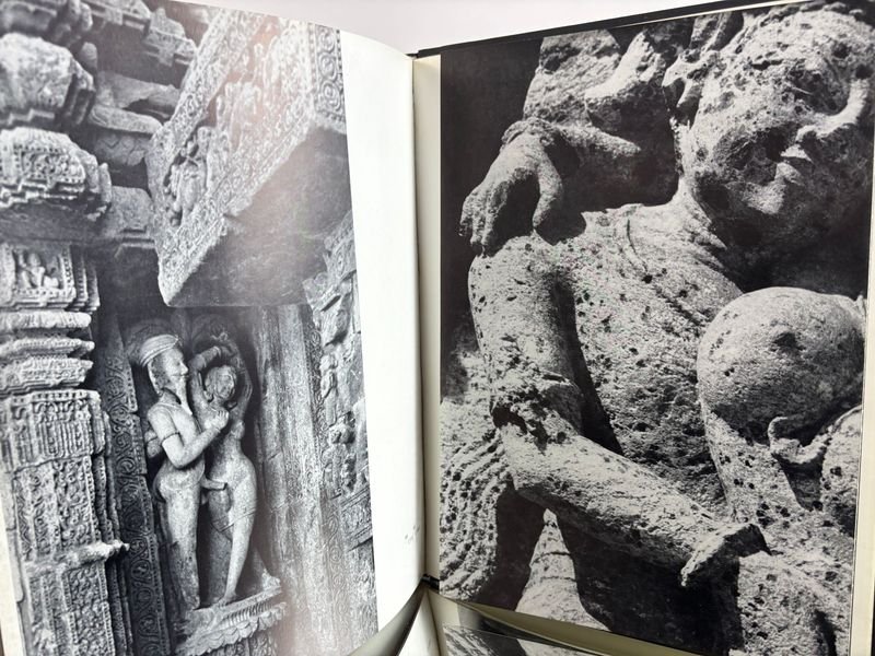 Libro sobre erotismo y fundamentos filosóficos en la escultura hinduista - imagen 7