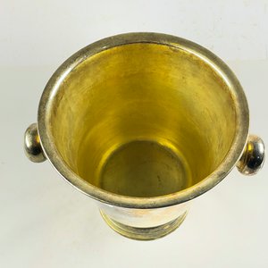 Champagnera de 19 cm - imagen 2