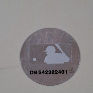 Lote de Adornos y Artículos de Jardinería - imagen 5