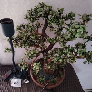 Bonsai Artificial con Lámpara Veladora y Base de Iluminación - imagen 3