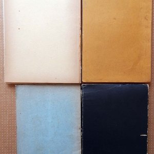 Lote de Cuatro Libros Históricos y Económicos de Uruguay y Río de la Plata - imagen 3