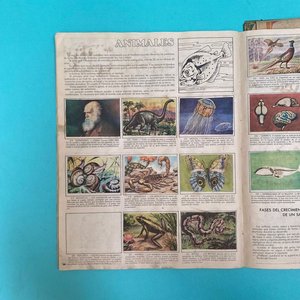 Álbumes de Figuritas "Álbum de Oro del Espectáculo" y "Ciencia Ilustrada" - Años 80 - imagen 8