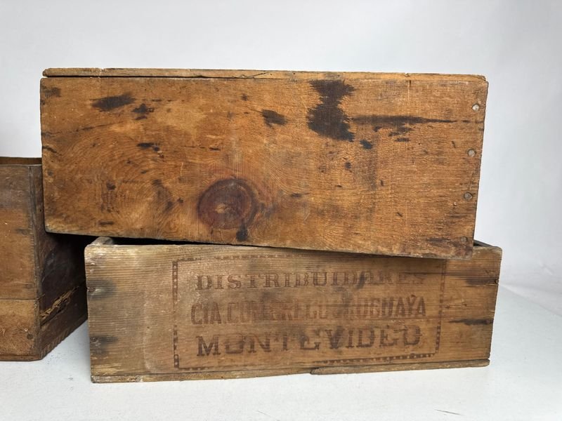 Cuatro cajas de propaganda con corned beef - imagen 4