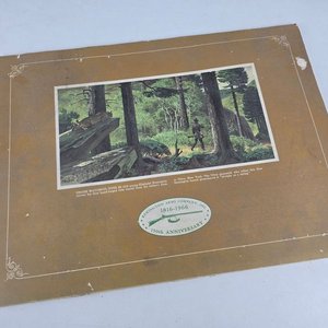 Carpeta con Reproducciones de Armas Remington (1816-1966) - imagen 5