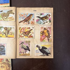 Álbumes "Vida y Color" Colección Enciclopédica Ilustrada - imagen 17