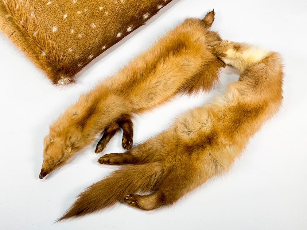 Item 486865 - Image 3