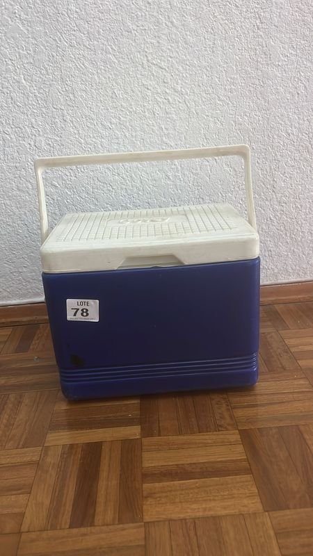 Conservadora Covey Chica: Refrigeradora de Plástico - imagen 2