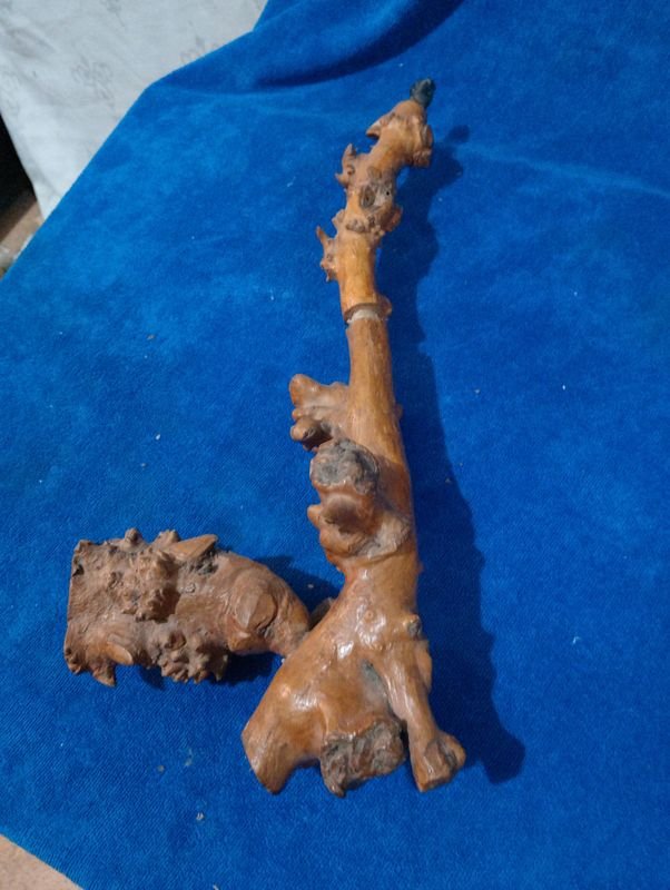 Lote anterior: Pipa Antigua Alemana de Madera de Raíz
