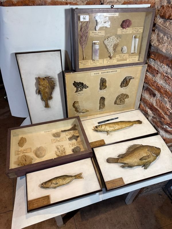 Item 851800 - Image 1