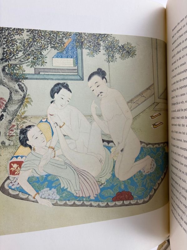 Libro sobre el erotismo y el amor en la China antigua - imagen 6