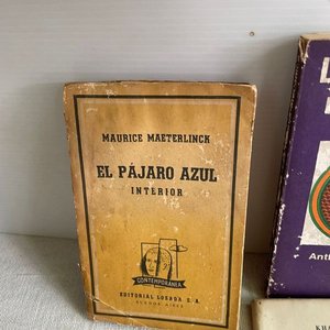 Lote de Libros: La Naranja Mecánica, El Profeta, La Tia Tula, Robinson Crusoe, El Pájaro Azul - imagen 5