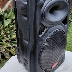 Parlante Profesional Telefunken con Ruedas y Manija - imagen 2