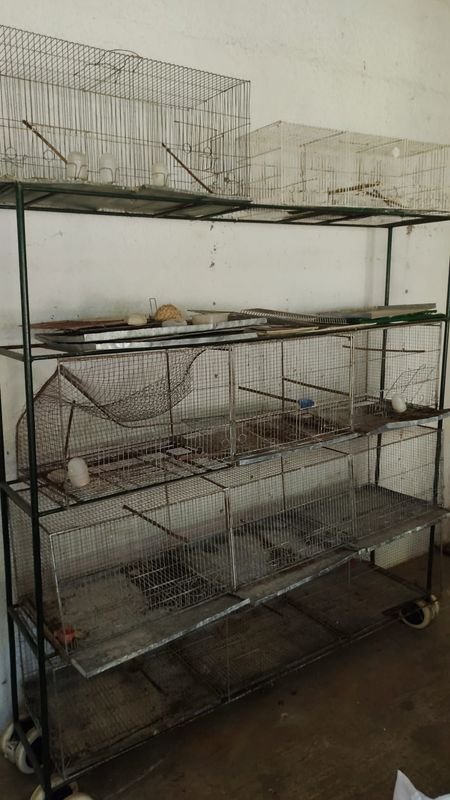 Item 869949 - Image 0