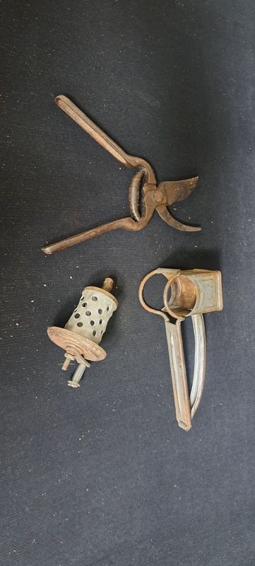 Rallador de Queso y Tijera de Podar Molin Ilsa - imagen 4