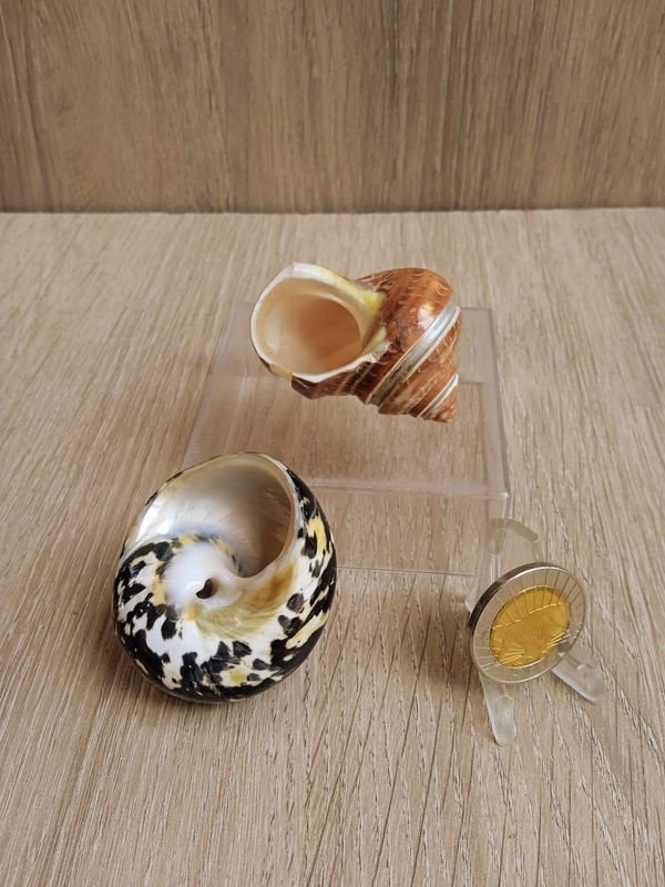 Item 884178 - Image 1