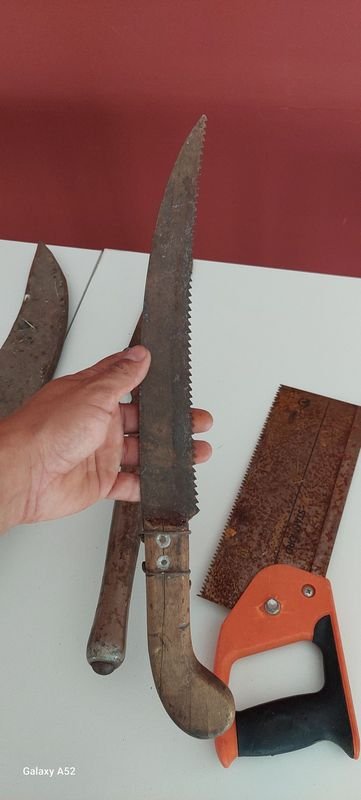 Item 900800 - Image 2