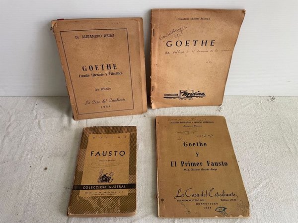 Libros de Goethe: El Fausto y Estudios Literarios - imagen 1