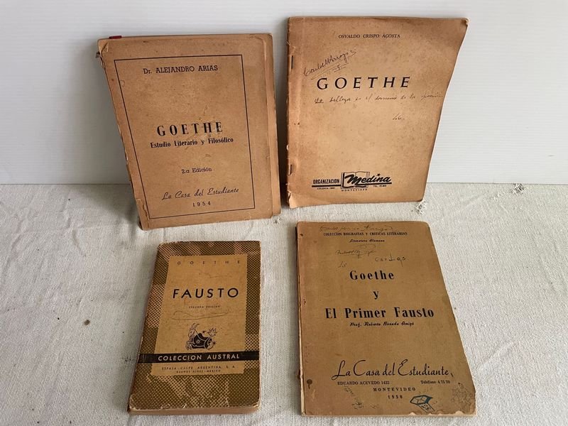 Libros de Goethe: El Fausto y Estudios Literarios